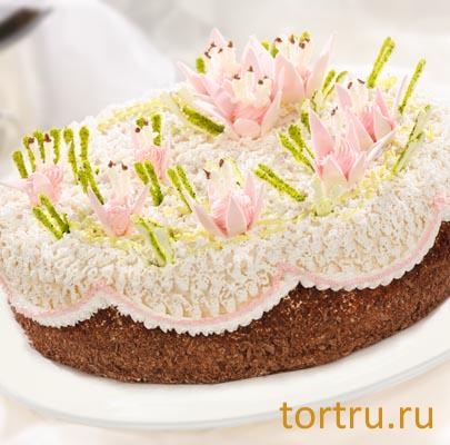 Торт "Сад Вероники", Черемушки